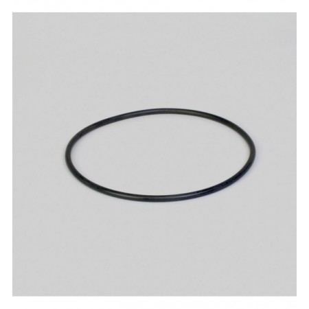 P167576 - O-RING  COVER GASKET